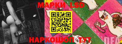 PSILOCYBIN Бугуруслан