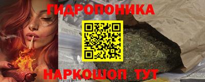 скорость Будённовск